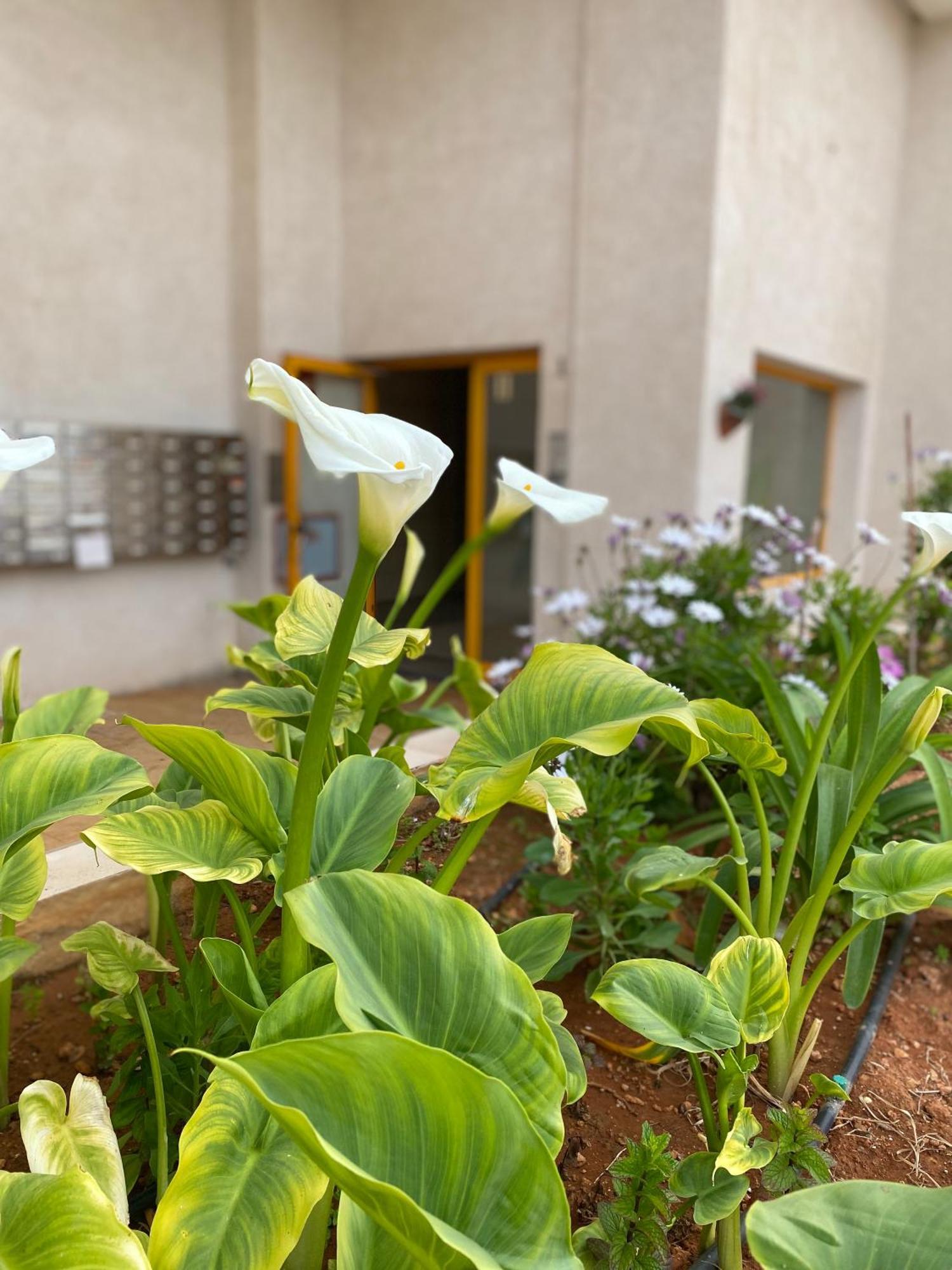 Ambar Beach Apartment Calpe Exterior photo